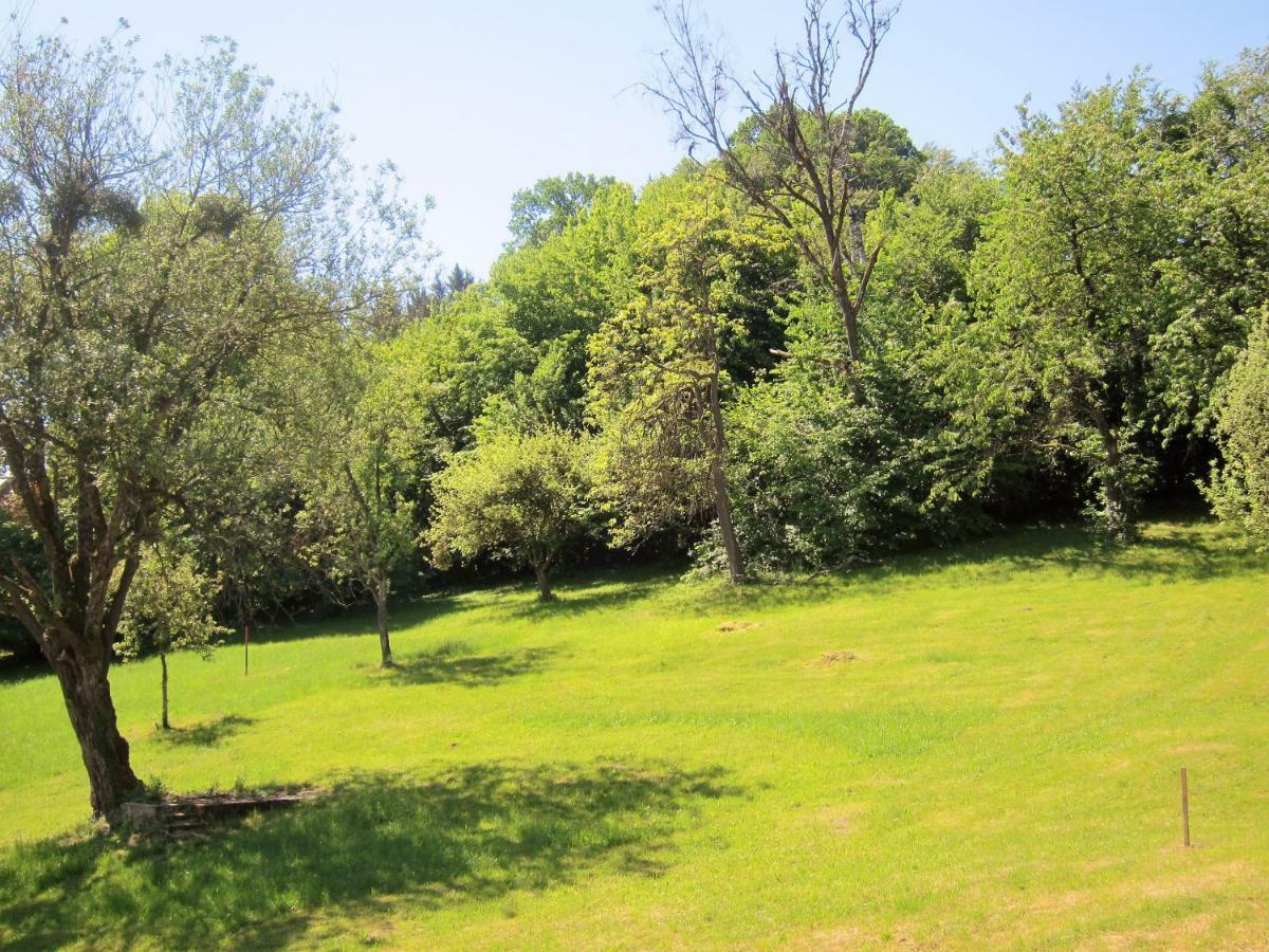 Appartement Ambiente Waidhofen an der Ybbs Bagian luar foto